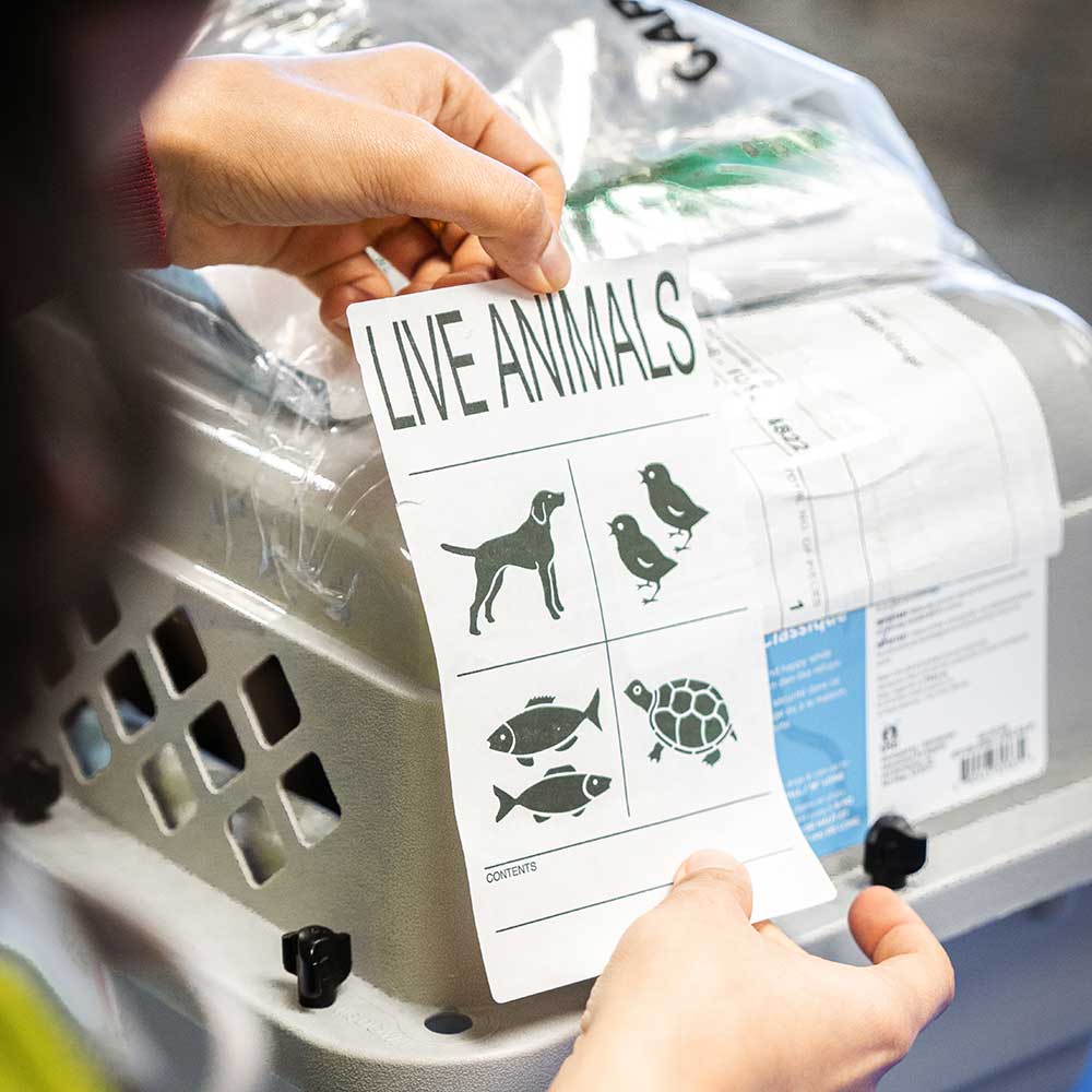 Employee showing live animal label